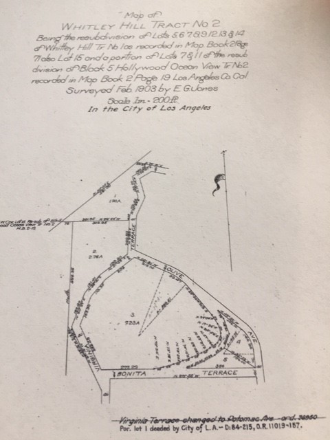 Whitley Hill – Now Yamashiro